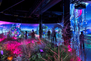 magentamoon-ffv-201016_22_53_16.jpg