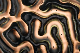 ferrofluides1.png