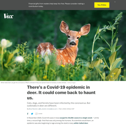 There’s a Covid-19 epidemic in deer. Should we be worried?