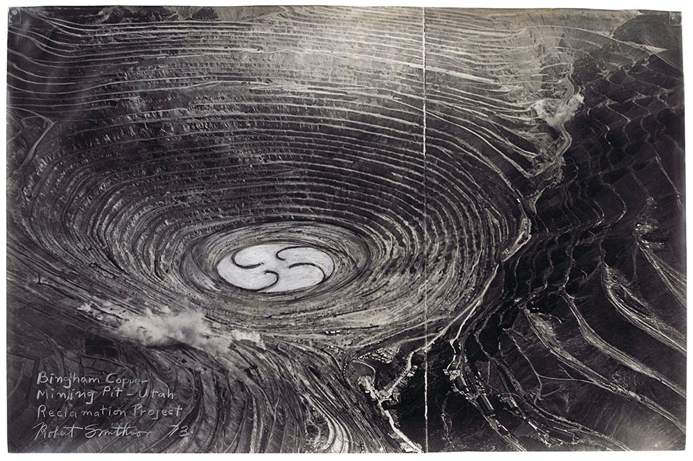 anna tsing the mushroom at the end of the world review