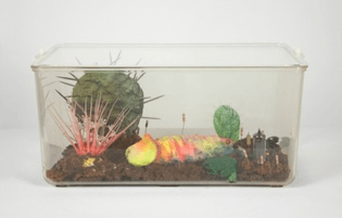 tetsumi-kudo-untitled-1971-via-hauser-and-wirth-440x281.jpg
