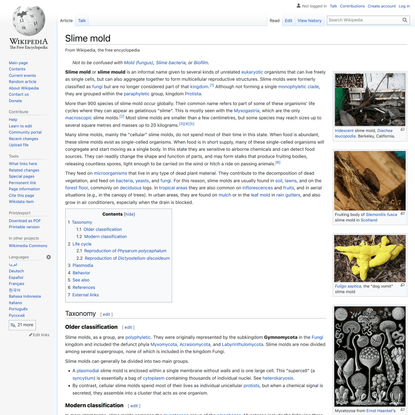 Slime mold - Wikipedia