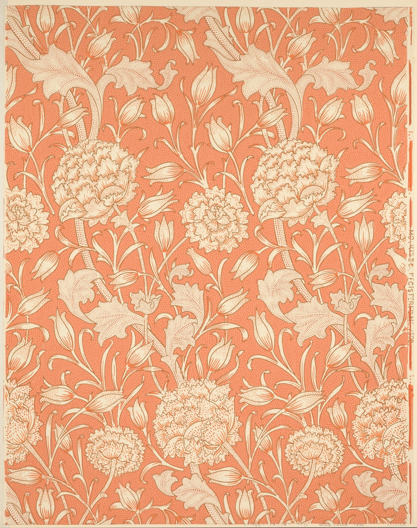 wild_tulip_met_dp146520.jpg