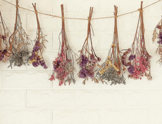 dried-flowers-gettyimages-1146588029.jpg?itok=ocosoysb