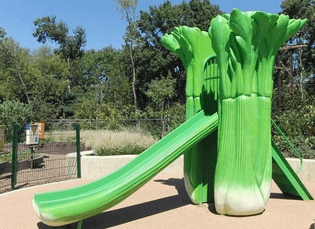 Celery Slide at the Dallas Arboretum
