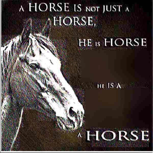 a HORSE IS not JUST a