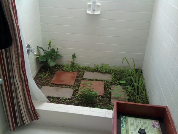 sexthrive: craigslist houseshare ad: "i...