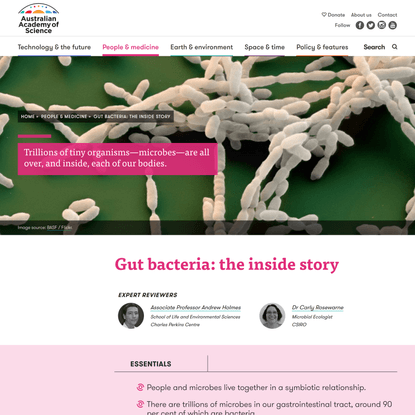 Gut bacteria: the inside story