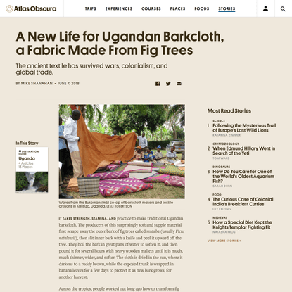 A New Life for Ugandan Barkcloth, a Fabric Made From Fig Trees