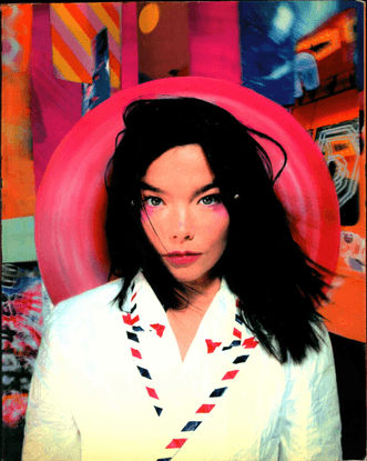 Björk Post 1995