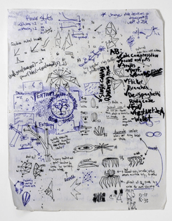 dev notes by sterling crispin