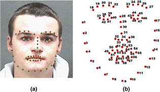 A framework for facial age progression and regression using exemplar face templates