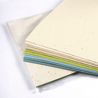 seed paper