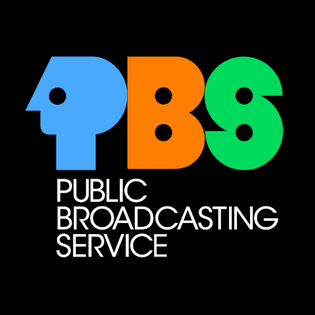 432px-pbs_1971_id-svg.png