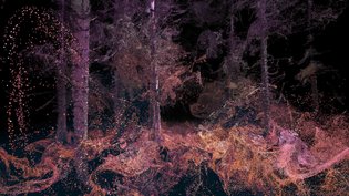 ITEOTA TEASER