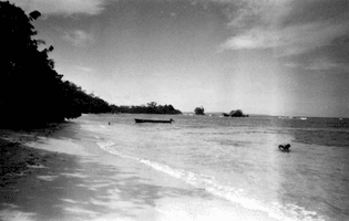 beach1.jpg