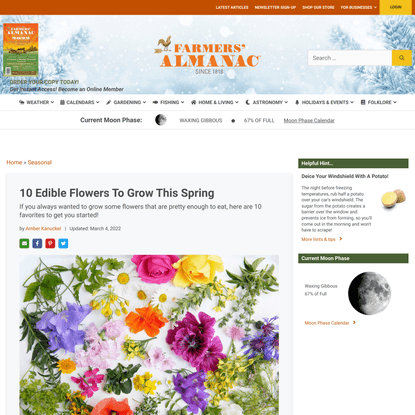 10 Edible Flowers To Grow This Spring