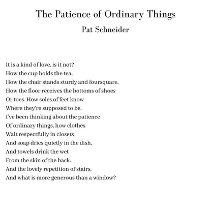 The Patience of Ordinary Things