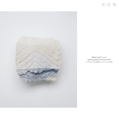 Blanket Sample 1, ROBERT GOBER | Matthew Marks Gallery