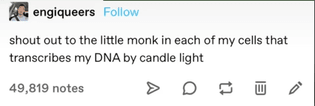 Little monk
