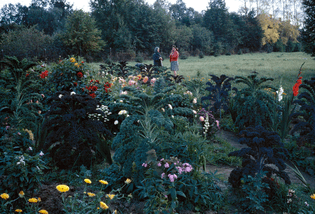 The house of Tchaikovsky in Klin, Moscow Oblast, 1967.