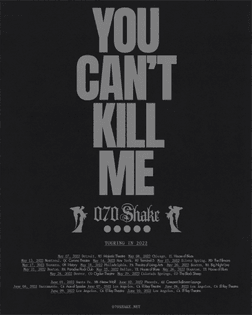 070-shake-yckm-tour-poster-main.jpg