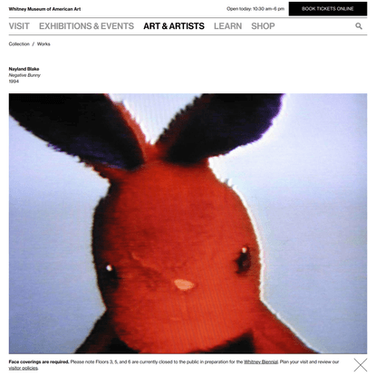 Nayland Blake | Negative Bunny