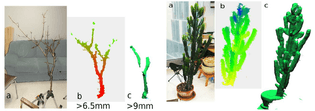 examples-of-3d-scanning-of-real-plants-maple-branching-system-at-left-and-cactus-like.png