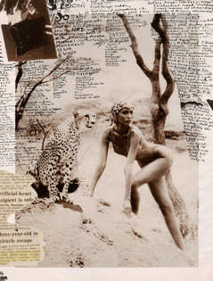 Peter Beard