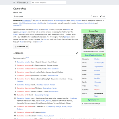 Osmanthus - Wikipedia