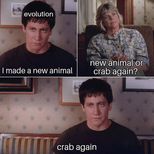 crab-again.jpg