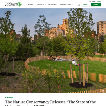 The Nature Conservancy Releases “The State of the Urban Forest in NYC”