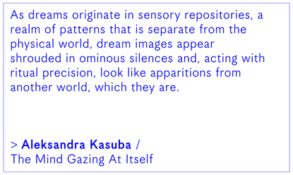 The Mind Gazing at Itself 2016