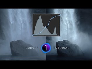 The #1 Secret on How to Use CURVES Effectively in Capture One 22