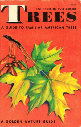 trees.pdf