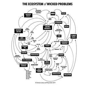 The ecosystem of wicked problems 