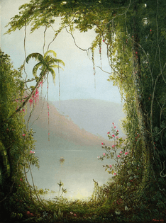 A Memory of the Tropics by Norton Bush