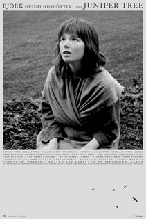 The Juniper Tree (1990, Iceland) dir. Nietzchka Keene