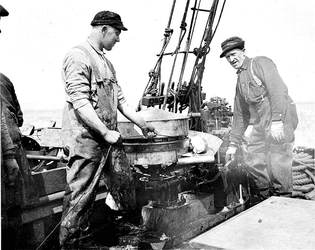 crew-with-cod-fish-catch-2.jpg