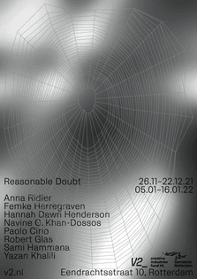 v2 Reasonable doubt
