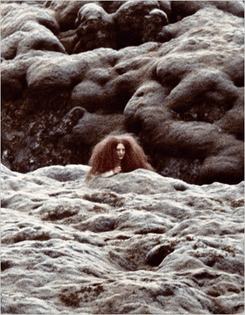 Roni-Horn-Destiny-1975-icalandic-lava-field.jpg
