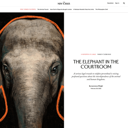 The Elephant in the Courtroom