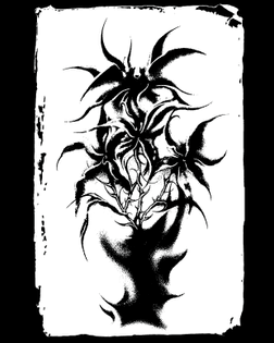vase1.jpg