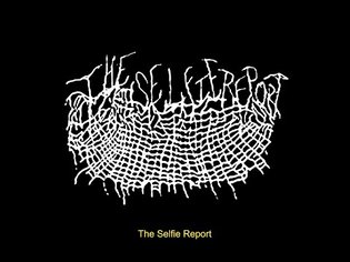 the SELFIE report
