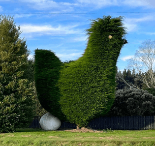 @shitgardens