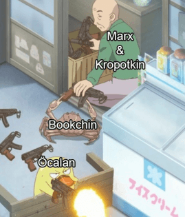 Marx &amp; Kropotkin &amp; Bookchin &amp; Ocalan