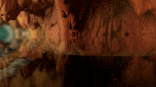 screenshot-2022-04-11-at-10.59.26.png