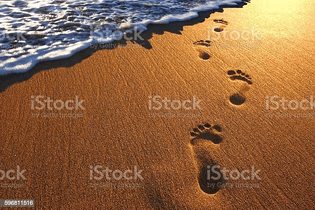 Footprint on beach stock photo