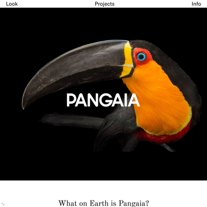 Pangaia — Look