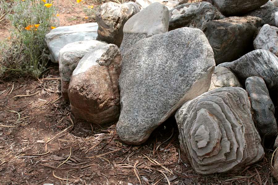 Lake-Hodges-rock-collection.jpg